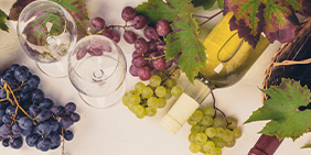 Vinos Ecológicos